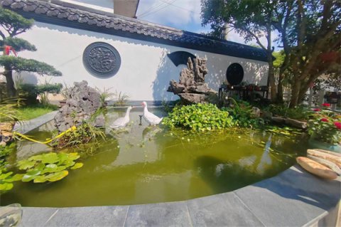 石台小河：“美丽庭院”创建成果展播